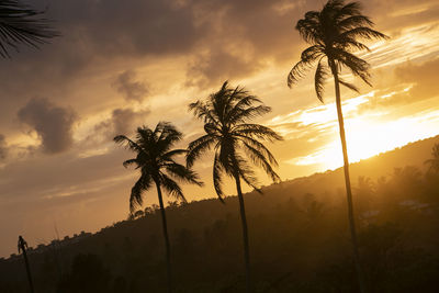 Silhouette palm trees against sky during sunset