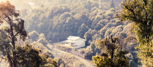 A beautiful wooden house surrounded by nature deep in the majestic forest and lush landscape. 