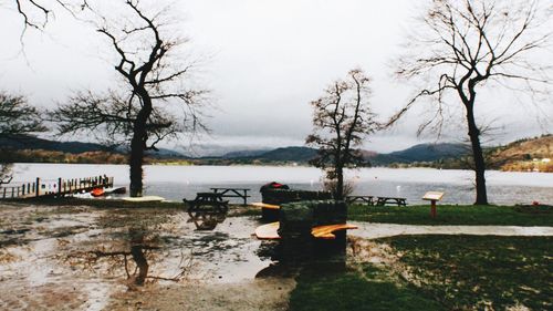 Bare trees on landscape by lakeside