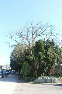 View of road against clear blue sky