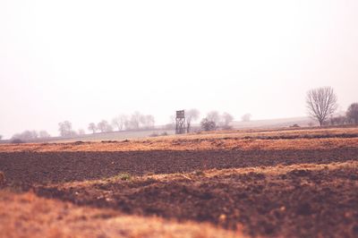 Surface level of field against clear sky