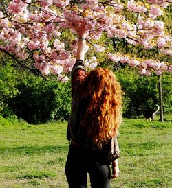 Rear view of young woman standing against tree