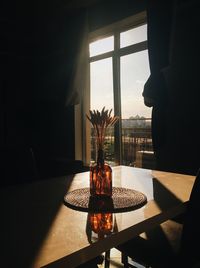 Potted plants on table at home