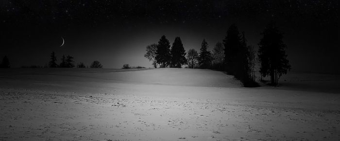 Trees on snow covered landscape against sky at night