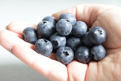 Close-up of hand holding of black berries
