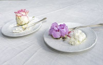 High angle view of pink flowers on table