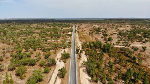 Panoramic shot of road amidst trees against sky