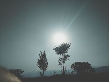 Silhouette trees against clear sky