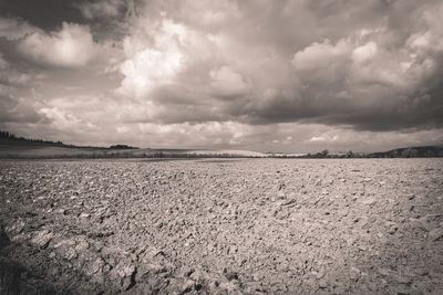 Scenic view of agricultural field against sky