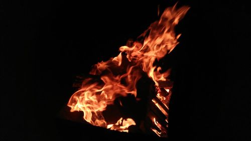 Close-up of bonfire at night