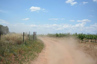 Dirt road passing through field