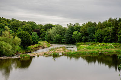 Scenic view of lake by trees against sky