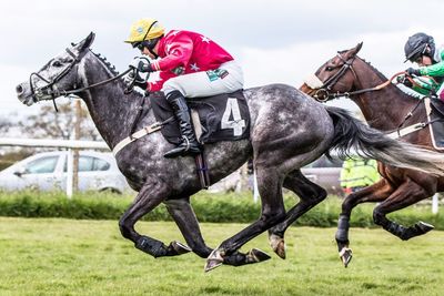 Side view of horse running on field