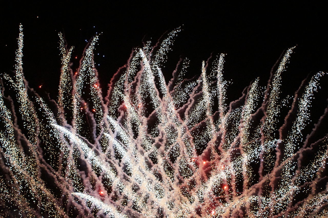 LOW ANGLE VIEW OF FIREWORK IN SKY