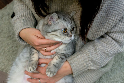 Midsection of person holding kitten