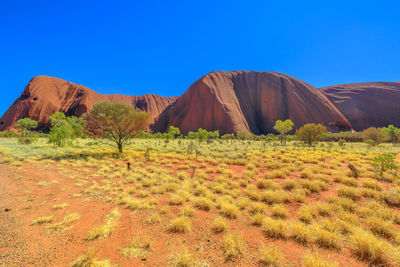 Scenic view of desert against clear blue sky