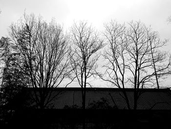 Low angle view of bare trees against sky