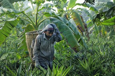 Rear view of woman standing amidst plants