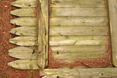 Close-up of wood