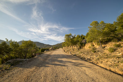 Empty road along plants and trees against sky