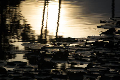 Surface level of lake against sky