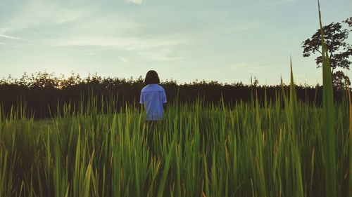 Rear view of girl standing on field against sky