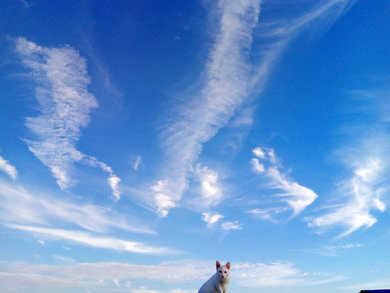 LOW ANGLE VIEW OF PEOPLE STANDING ON LANDSCAPE