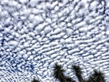 Low angle view of cloudy sky