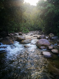 Stream flowing through rocks in forest
