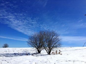 Bare tree on snow covered field against blue sky