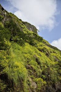 Low angle view of green mountain against sky