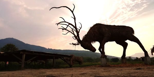 View of horse on field against sky