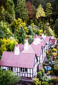 House and plants by trees and building