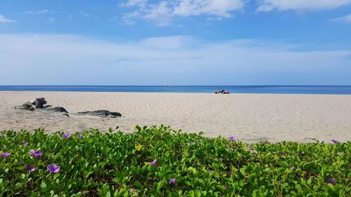 Scenic view of sea against sky