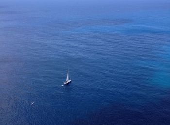Reflection of trees in water