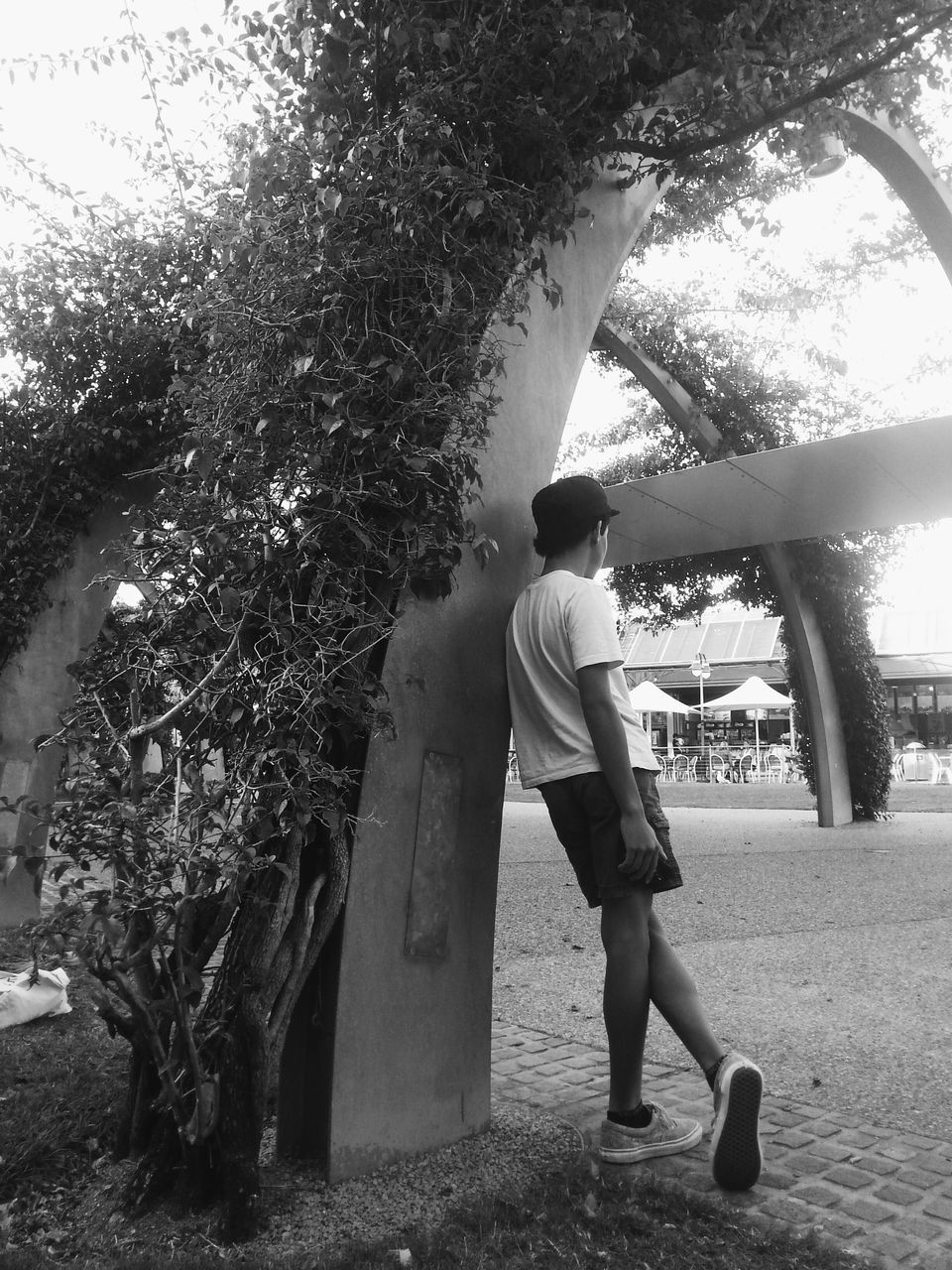tree, lifestyles, leisure activity, full length, walking, casual clothing, rear view, person, standing, sunlight, park - man made space, childhood, day, men, outdoors, growth, street, girls
