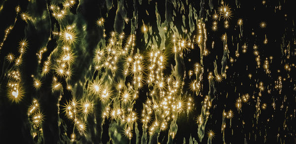 Low angle view of firework display at night