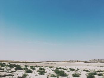 Scenic view of desert against clear blue sky