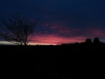 Silhouette trees on landscape against sky during sunset