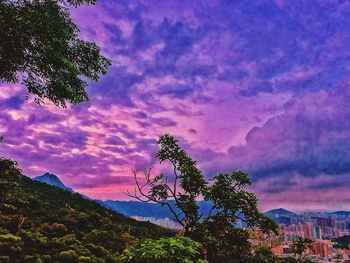 Scenic view of tree against cloudy sky