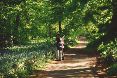 People on walkway amidst trees