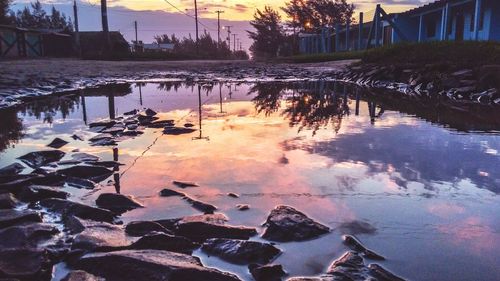 Reflection of trees in water at sunset