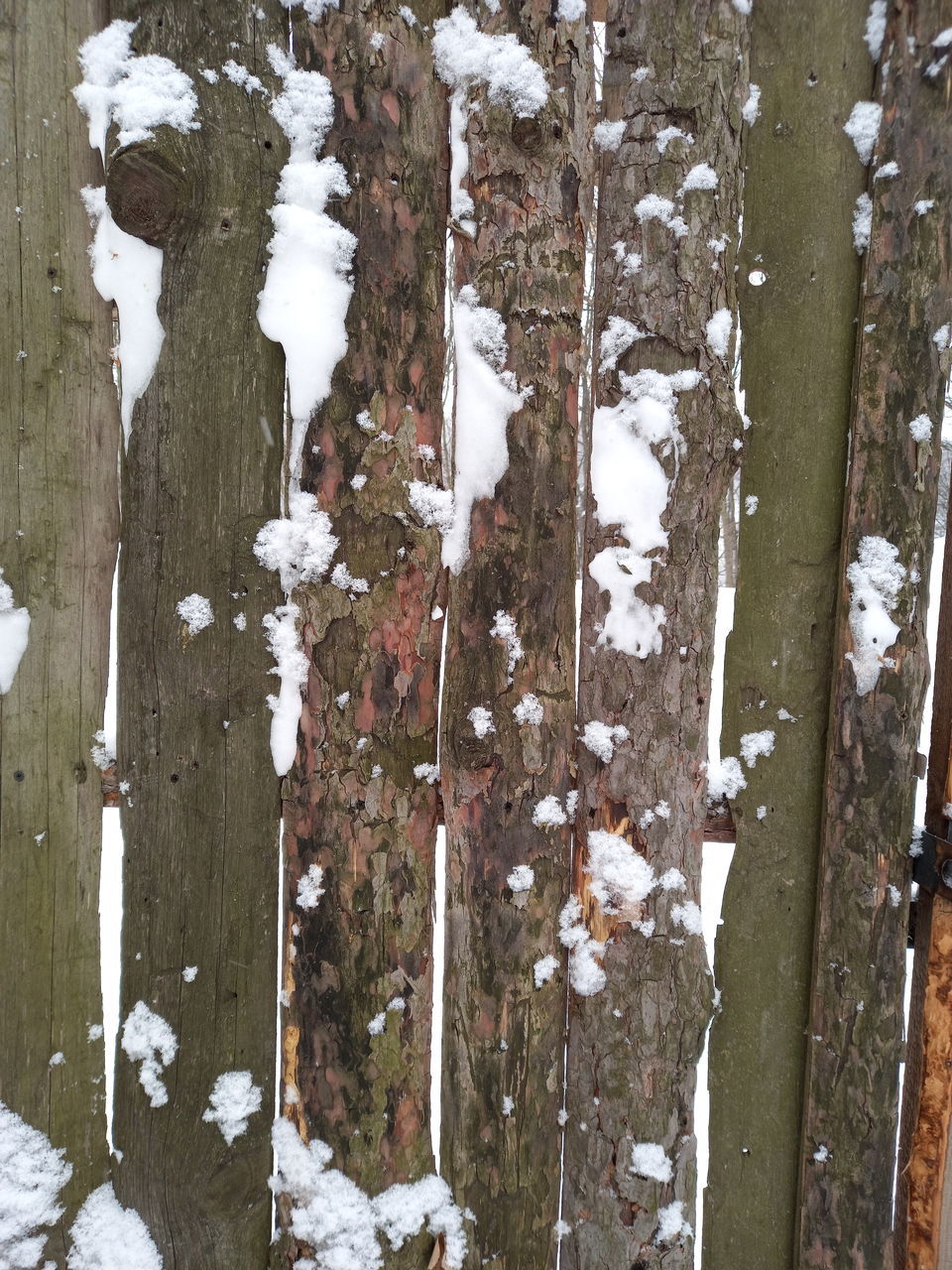 CLOSE-UP OF SNOW COVERED LAND