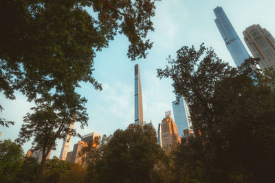 Low angle view of trees and buildings against sky