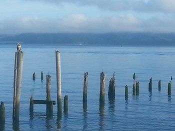 Wooden posts in sea against sky