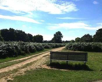 View of trees on landscape against sky