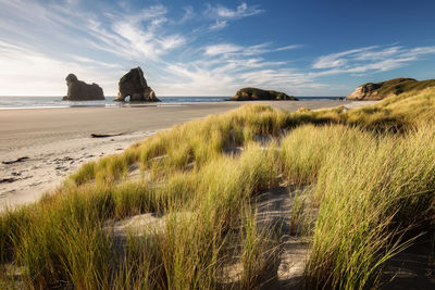 Scenic view of beach against sky