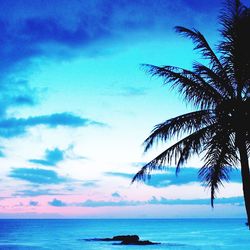 Silhouette palm tree by sea against blue sky