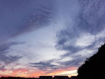 Low angle view of silhouette trees against sky at sunset