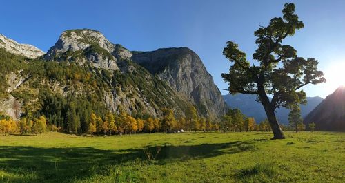 Scenic view of trees and mountains against sky